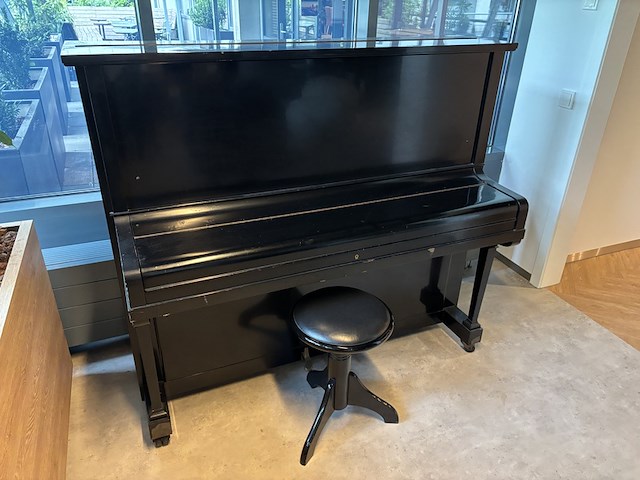 Piano, schweizerstein, hu-200 - afbeelding 14 van  19