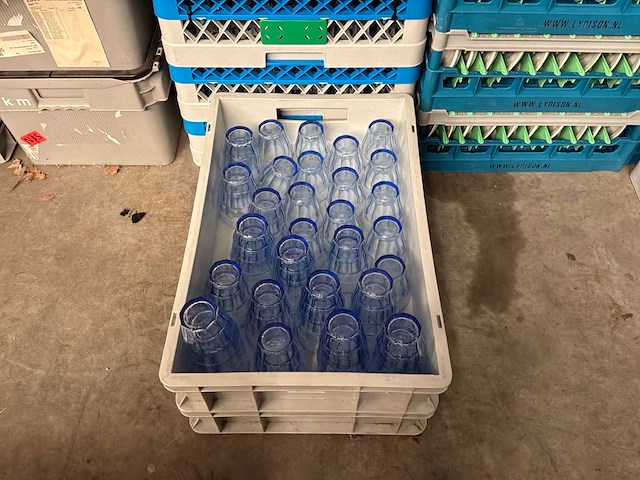 Picardi glas (450x) - afbeelding 3 van  3