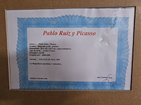 Picasso lithograaf 'matador' - afbeelding 6 van  6