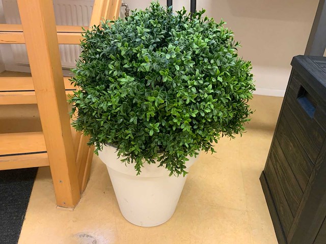 Picknickbank met parasol en kussens (2x) - afbeelding 7 van  15