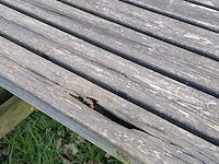 Picknicktafel - afbeelding 4 van  8