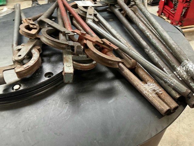 Pijpbuigtang (9x) - afbeelding 3 van  8