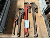Pijpentangen (4x) - afbeelding 1 van  3