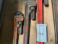 Pijpentangen (4x) - afbeelding 3 van  3