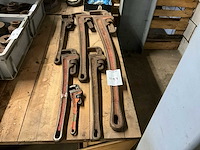Pijpentangen (7x) - afbeelding 1 van  4
