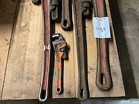 Pijpentangen (7x) - afbeelding 2 van  4