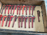 Pijptang (22x) - afbeelding 1 van  6