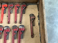 Pijptang (22x) - afbeelding 2 van  6