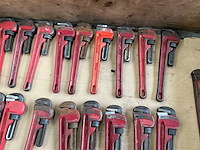 Pijptang (22x) - afbeelding 3 van  6