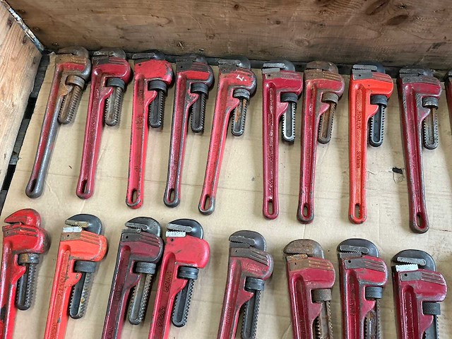 Pijptang (22x) - afbeelding 4 van  6