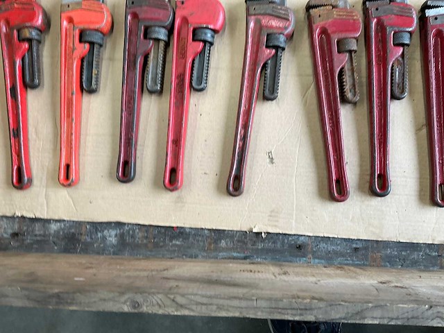 Pijptang (22x) - afbeelding 5 van  6