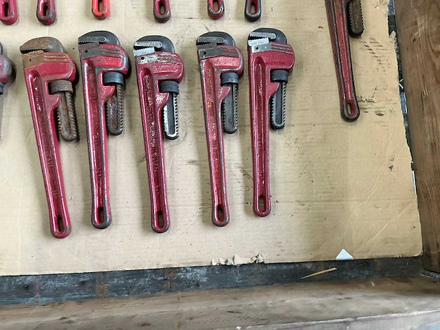 Pijptang (22x) - afbeelding 6 van  6