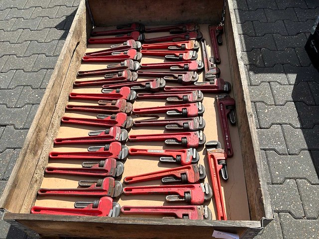 Pijptang (30x) - afbeelding 1 van  2