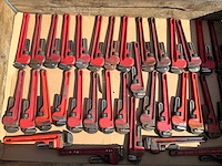 Pijptang (30x) - afbeelding 2 van  2