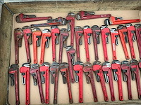 Pijptang (33x) - afbeelding 1 van  7