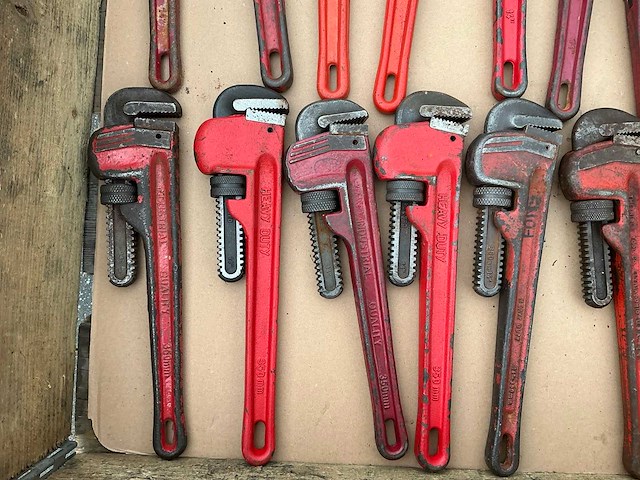 Pijptang (33x) - afbeelding 2 van  7