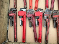 Pijptang (33x) - afbeelding 2 van  7