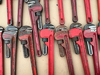 Pijptang (33x) - afbeelding 3 van  7