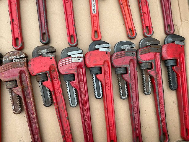 Pijptang (33x) - afbeelding 4 van  7