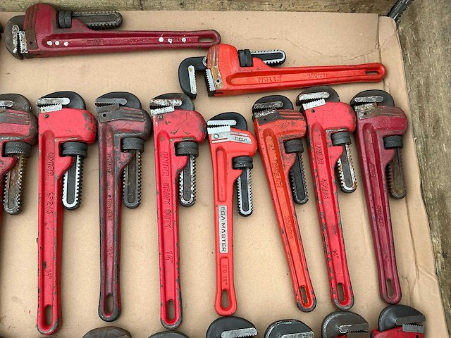 Pijptang (33x) - afbeelding 5 van  7