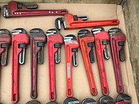 Pijptang (33x) - afbeelding 5 van  7