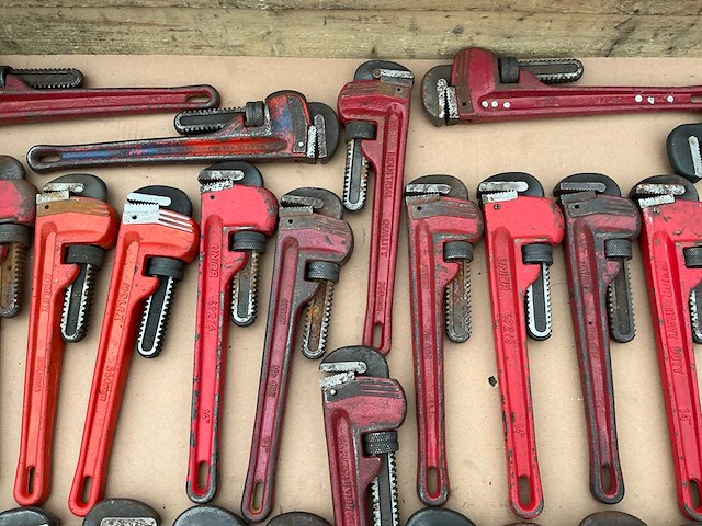 Pijptang (33x) - afbeelding 6 van  7