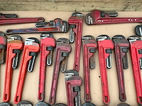 Pijptang (33x) - afbeelding 6 van  7