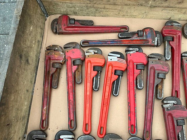 Pijptang (33x) - afbeelding 7 van  7