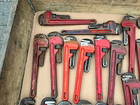 Pijptang (33x) - afbeelding 7 van  7