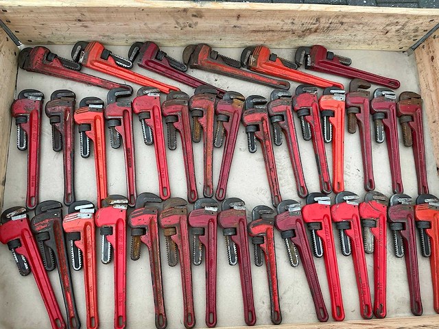 Pijptang (35x) - afbeelding 1 van  6