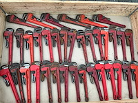 Pijptang (35x) - afbeelding 1 van  6