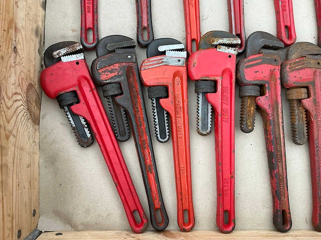 Pijptang (35x) - afbeelding 2 van  6