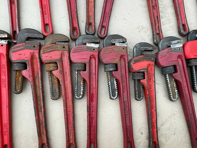 Pijptang (35x) - afbeelding 3 van  6