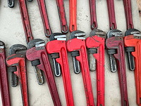 Pijptang (35x) - afbeelding 4 van  6