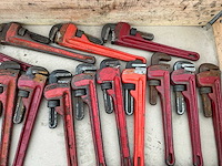 Pijptang (35x) - afbeelding 5 van  6