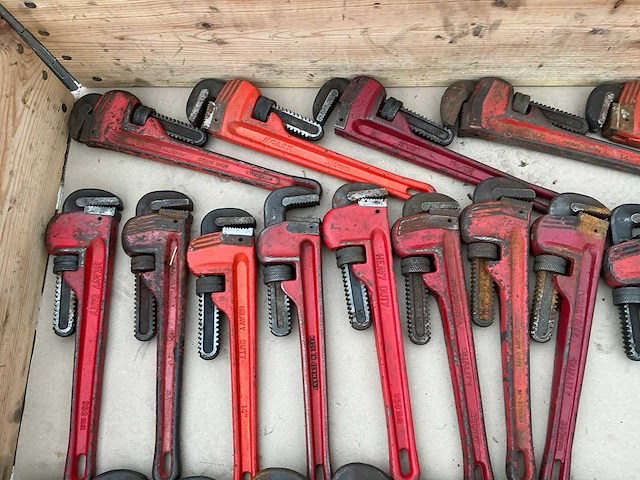 Pijptang (35x) - afbeelding 6 van  6