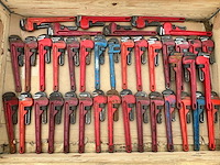 Pijptang (38x) - afbeelding 1 van  6