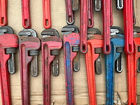 Pijptang (38x) - afbeelding 2 van  6