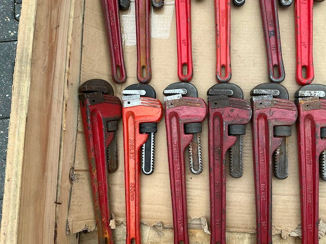 Pijptang (38x) - afbeelding 4 van  6