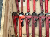 Pijptang (38x) - afbeelding 4 van  6