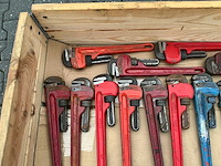 Pijptang (38x) - afbeelding 5 van  6