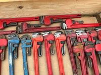 Pijptang (38x) - afbeelding 6 van  6