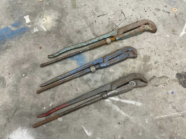 Pijptang (3x) - afbeelding 1 van  5