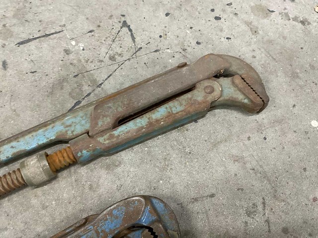 Pijptang (3x) - afbeelding 2 van  5