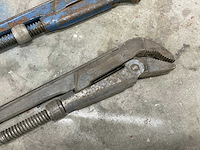 Pijptang (3x) - afbeelding 4 van  5