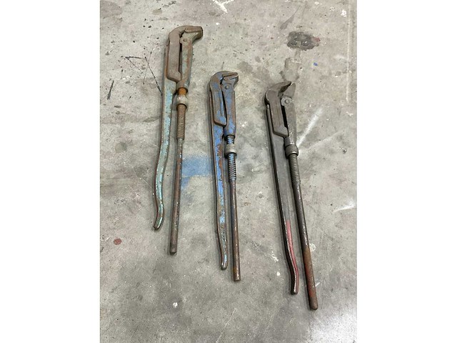 Pijptang (3x) - afbeelding 5 van  5