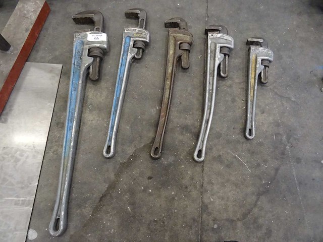 Pijptang (5x) - afbeelding 1 van  1