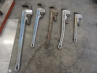 Pijptang (5x) - afbeelding 1 van  1