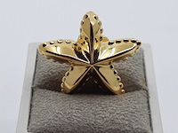 Pin, loewe