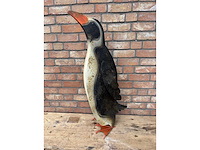 Pinguin - afbeelding 2 van  2